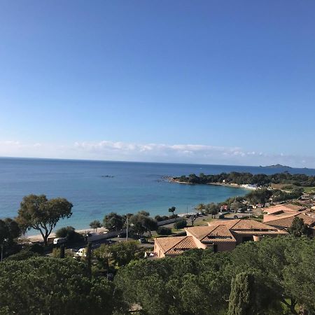 Superbe Appartement T2 Vue Magnifique Sanguinaires A 50M De La Plage Ajaccio  Eksteriør billede