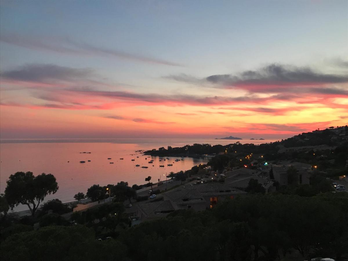 Superbe Appartement T2 Vue Magnifique Sanguinaires A 50M De La Plage Ajaccio  Eksteriør billede